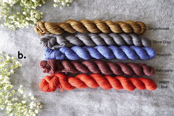 Twist Sock Mini Bundle – 5 × 20g
