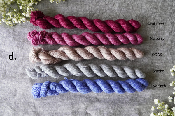 Twist Sock Mini Bundle – 5 × 20g